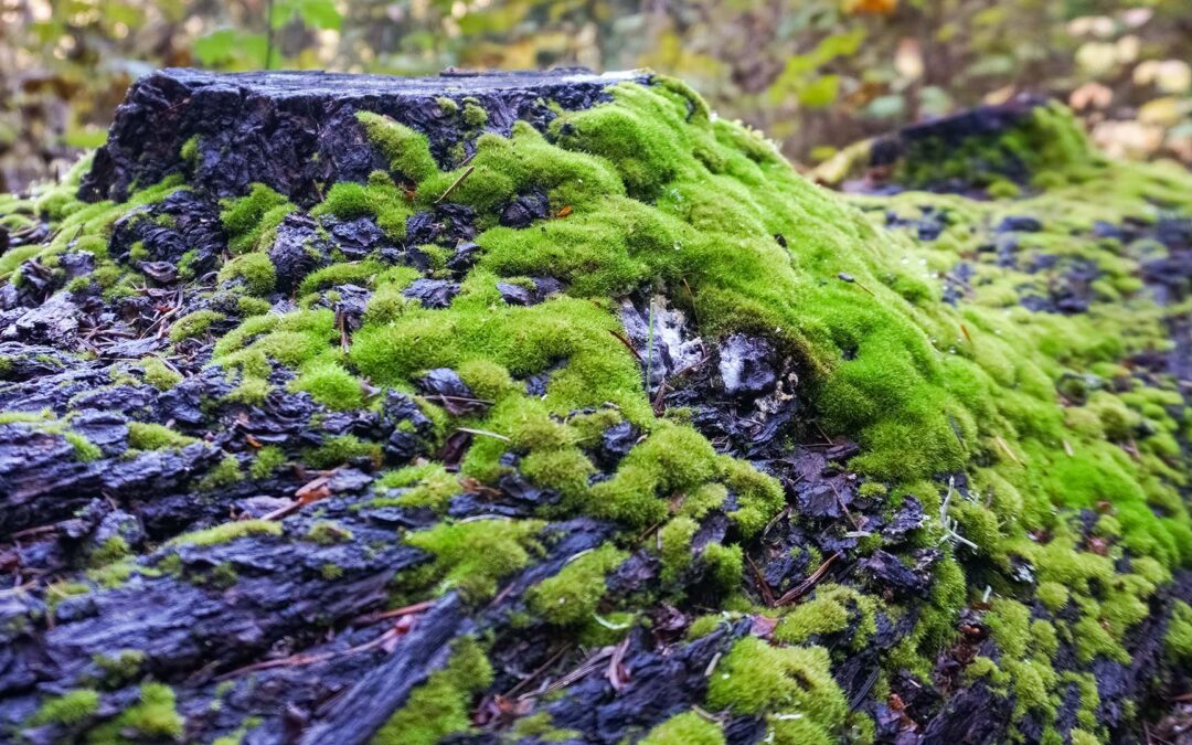 What is Secured Finance?