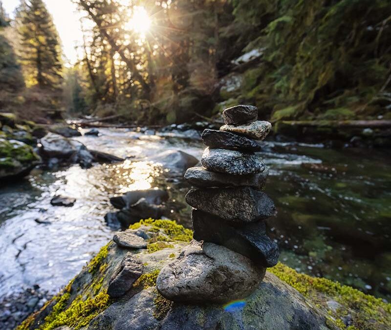 The Hidden Reality of Cashflow Timing