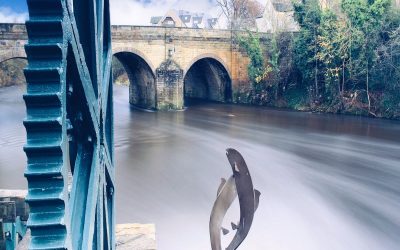 Cash-Flow Resilience Amid Inflation: Keeping Your Business Liquid in 2025