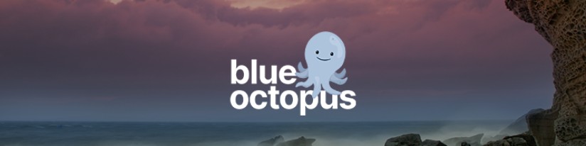 Blue Octopus Recruitment