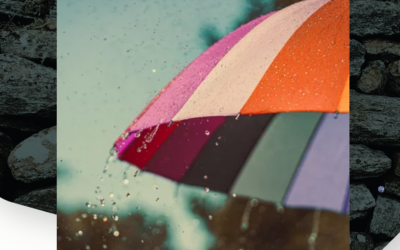 Trade Credit Insurance for Small Businesses