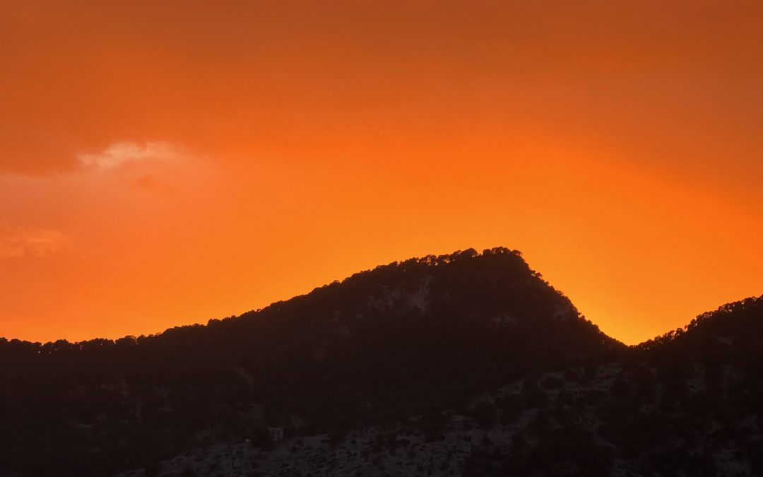 When You Need Invoice Finance – But Dont Need Invoice Finance