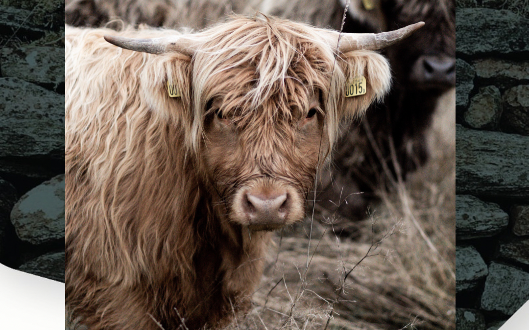 Fund your farming equipment today