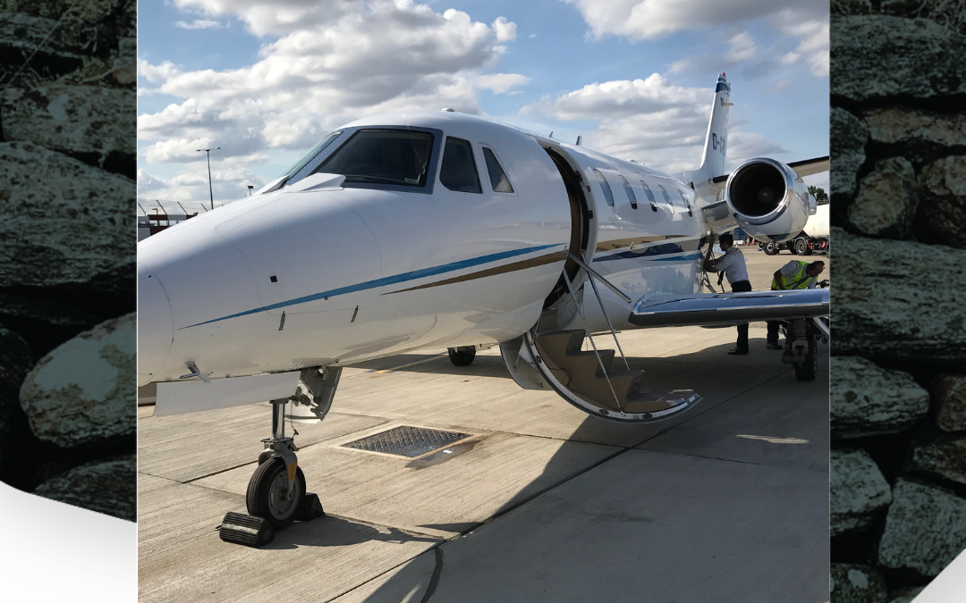 What have we been up to this week?