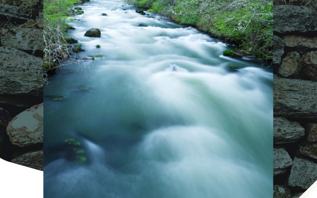 If I Use Invoice Finance, Won’t People Think My Business Is In Trouble?