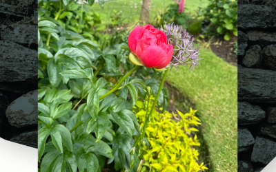 Why Shadowfax Funding is Your Best Partner for Invoice Finance