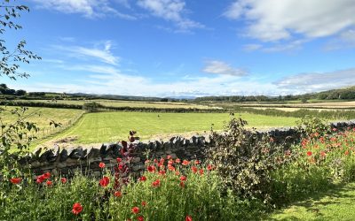 The Growth Paradox – Why Success Can Kill Your Cashflow