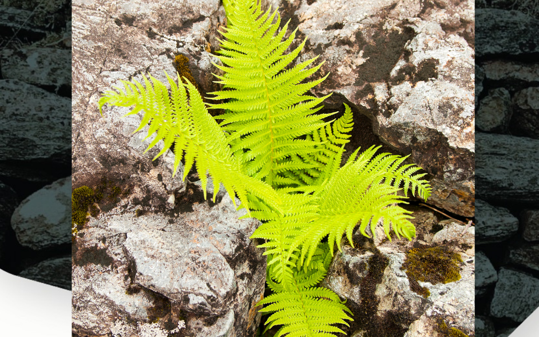 The Real Cost of Saying No: Why Turning Down Work Costs More Than You Think