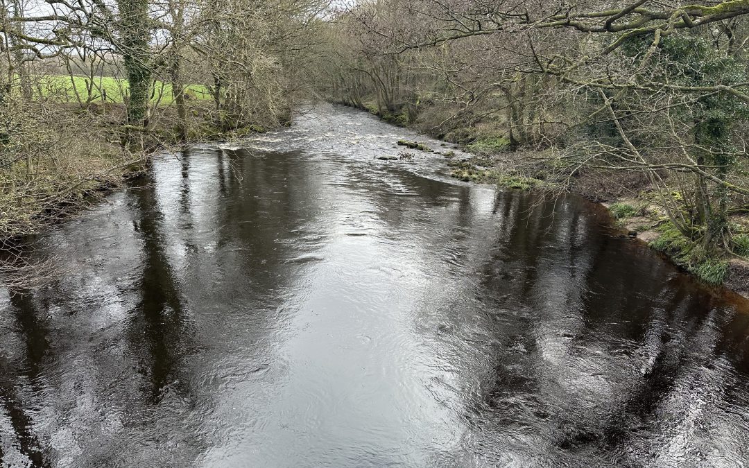 Why Fast-Growing Businesses Run Out of Cash (And What Banks Won’t Tell You)