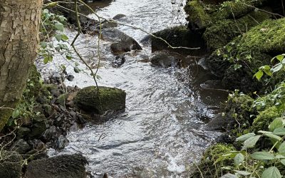 Late Payments in 2026: The £70 Billion Question UK Businesses Aren’t Asking