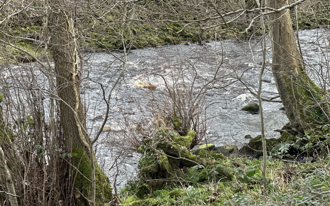 How Do I Fix Cashflow Problems Without Taking On Debt?